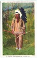 cherokeeindian